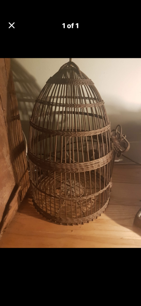Victorian Reclaimed Bird Cage