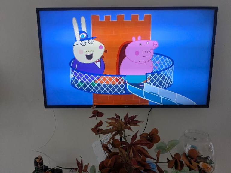 LG 42-inch TV with Remote – Good Condition