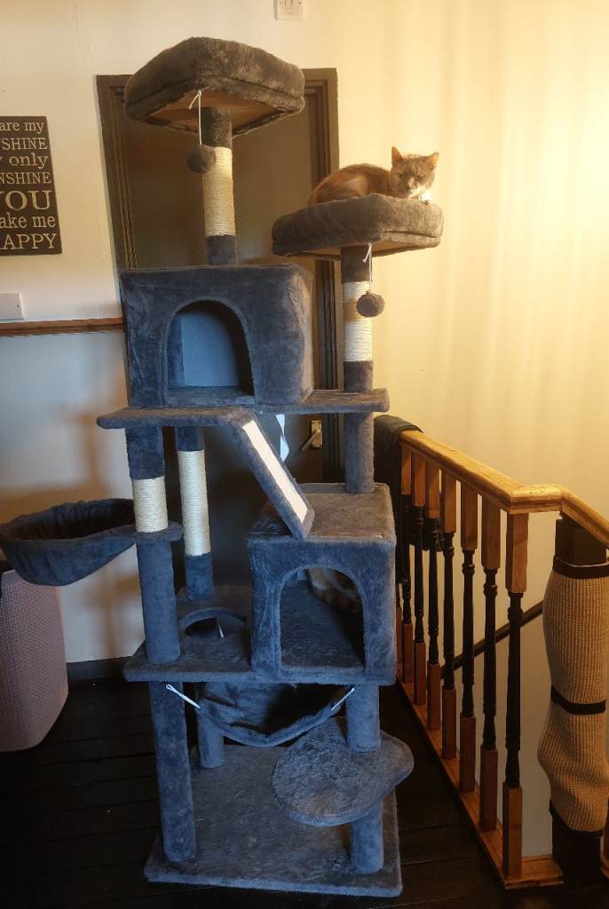 Cat Tree Brand New In Box- Large 200cm 