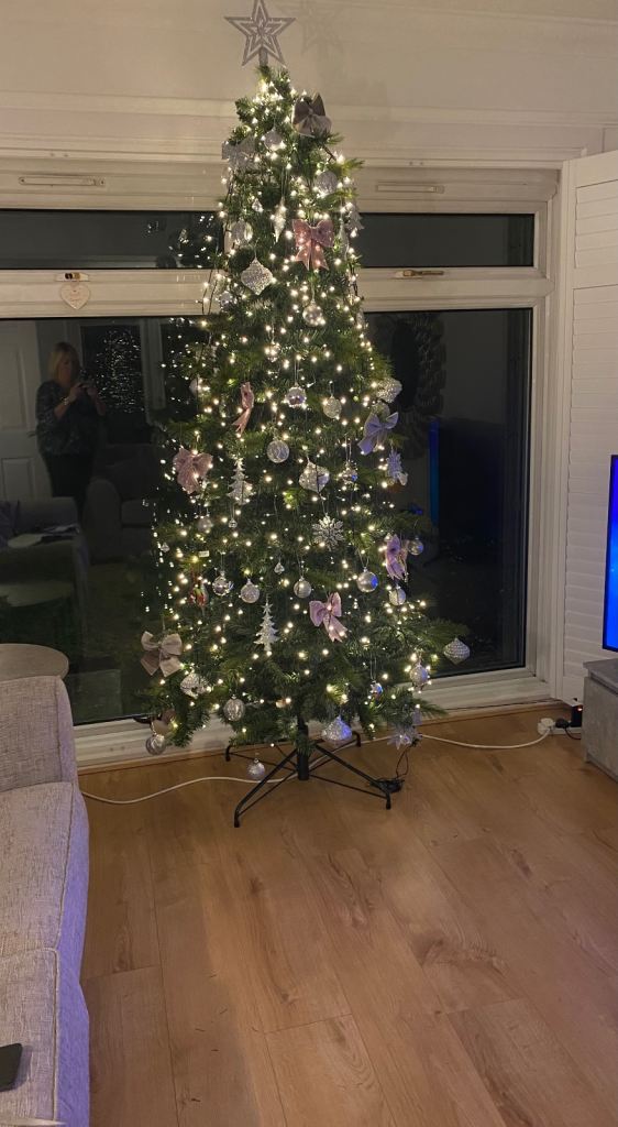  Christmas decorations and 700 lights