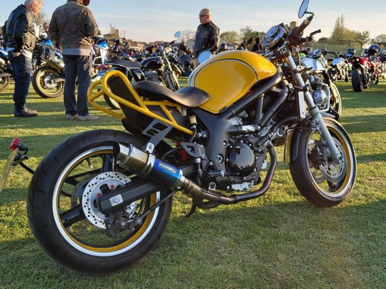 Suzuki, SV, 2001, 645 (cc) CUSTOM