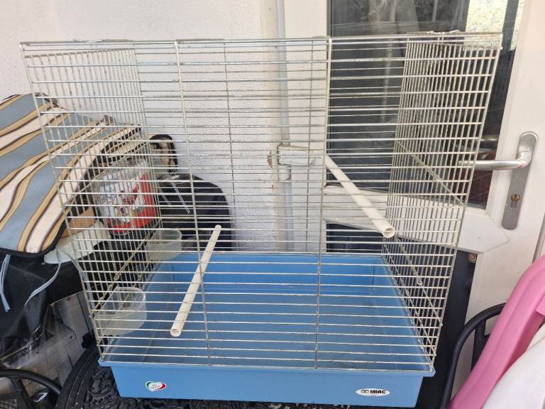 Large bird cage 