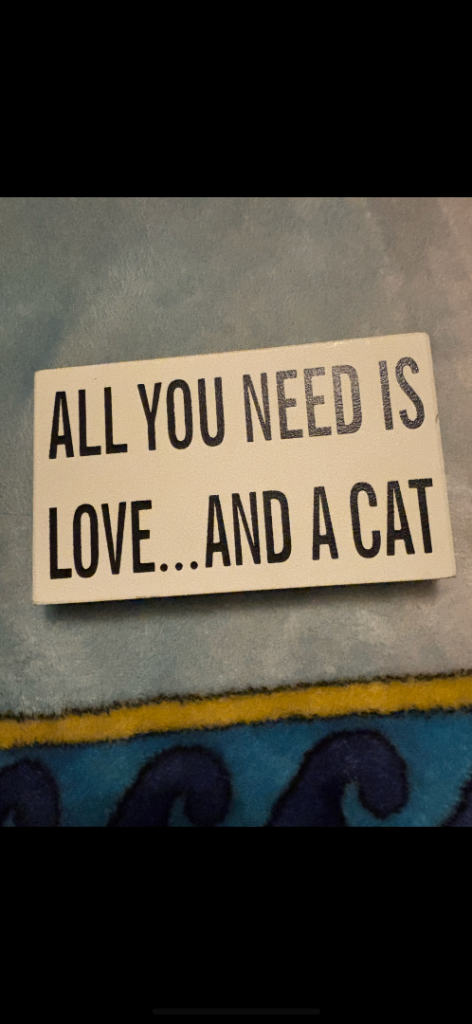 Cat mat, food bowls and a canvas 