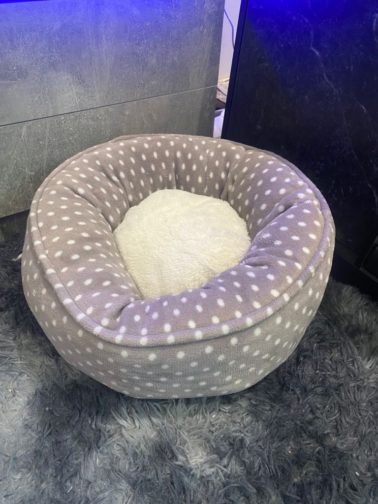 Cat/Kitten Bed (Brand New)