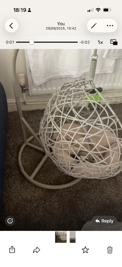 Pet bed 