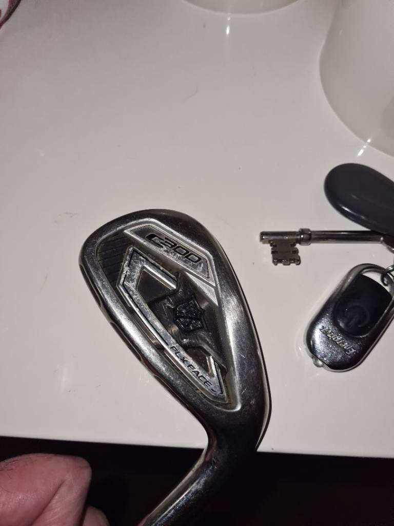 WILSON C300 IRONS
