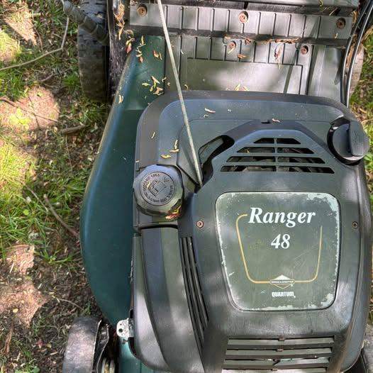 Hayter lawn mower RANGER 48