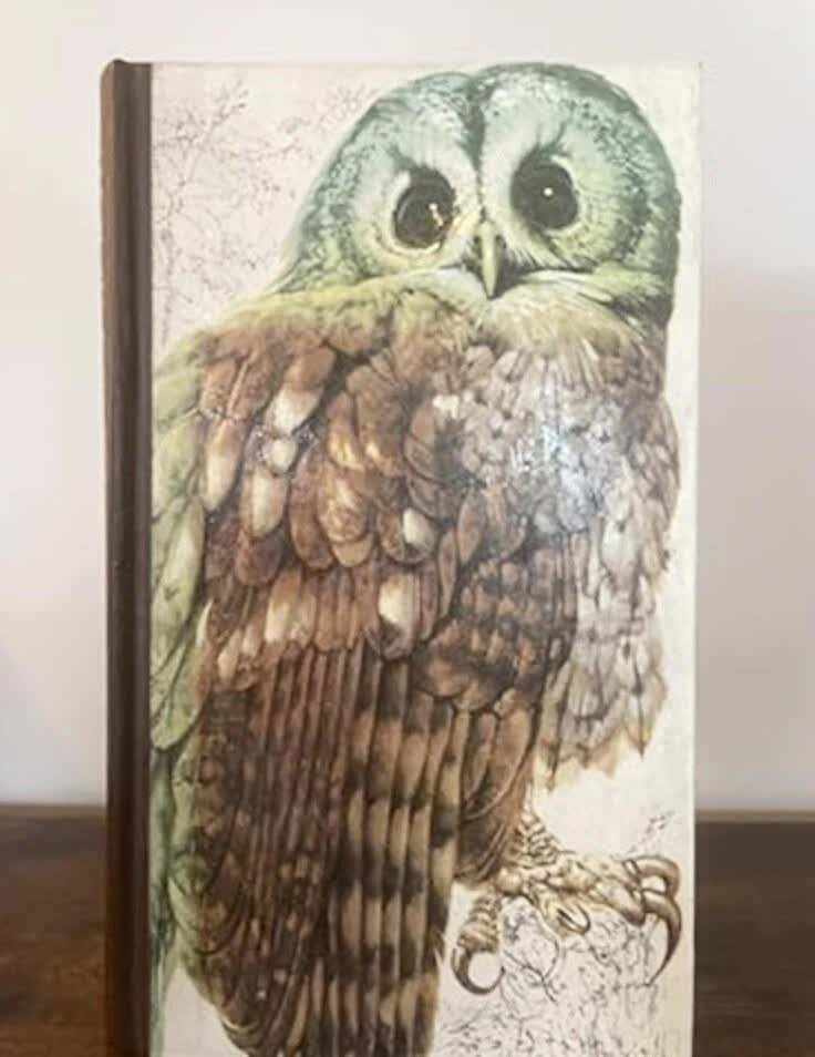 Book of British Birds. Hardcover
