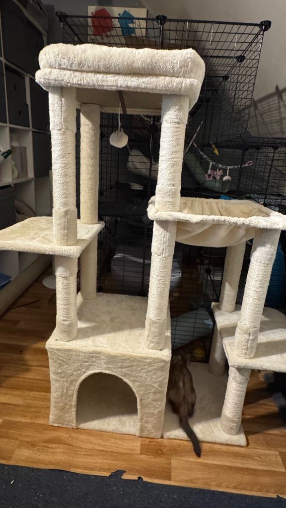 Cat tree 