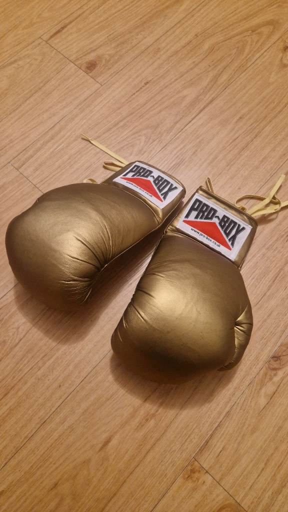 PRO-BOX Gold Boxing Gloves – As Good As New