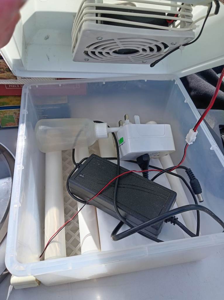 Automatic egg incubator