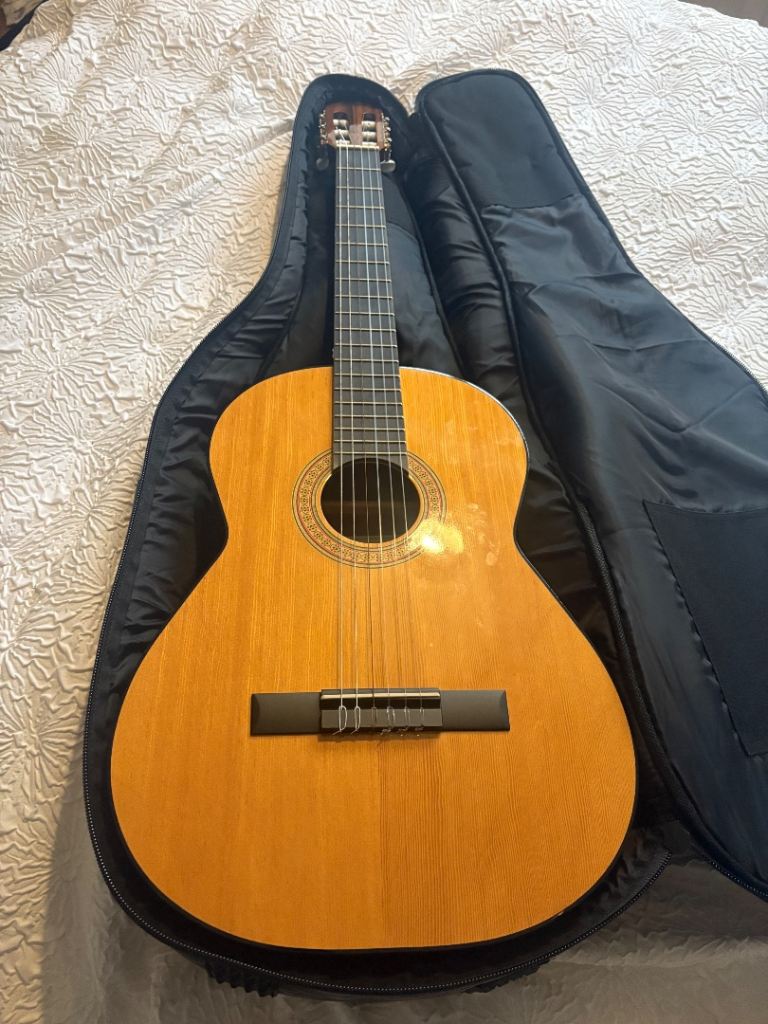 Guitar 