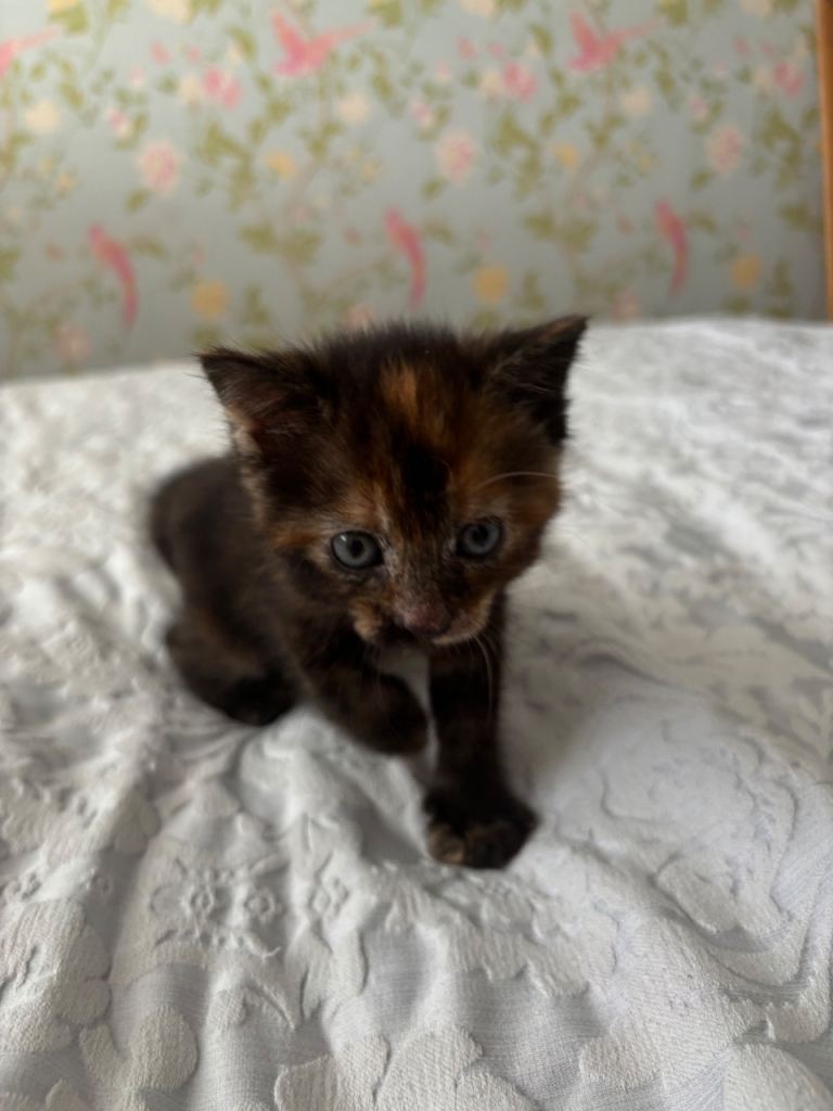 Gorgeous little girl 200