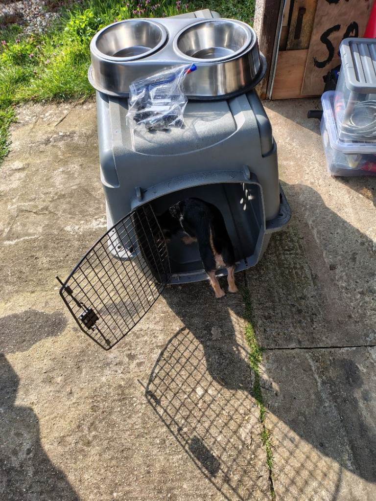 very large dog crate with new dog bowl