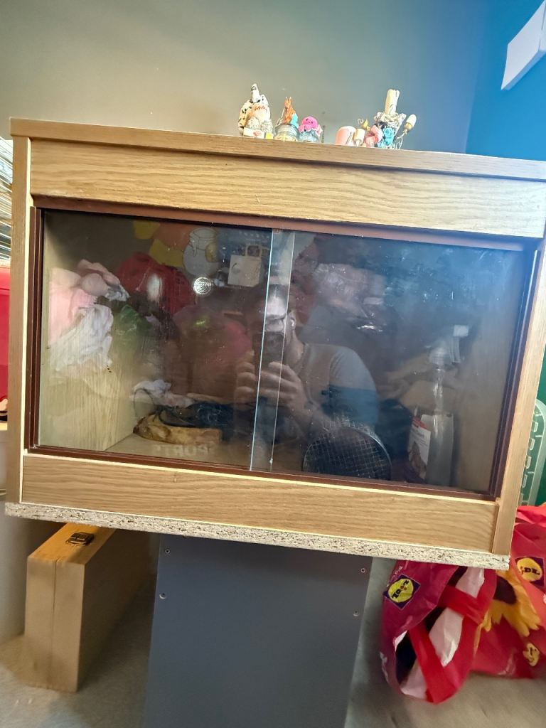 Reptile vivarium 