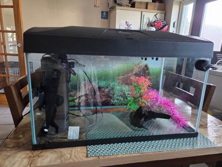 60L fish tank