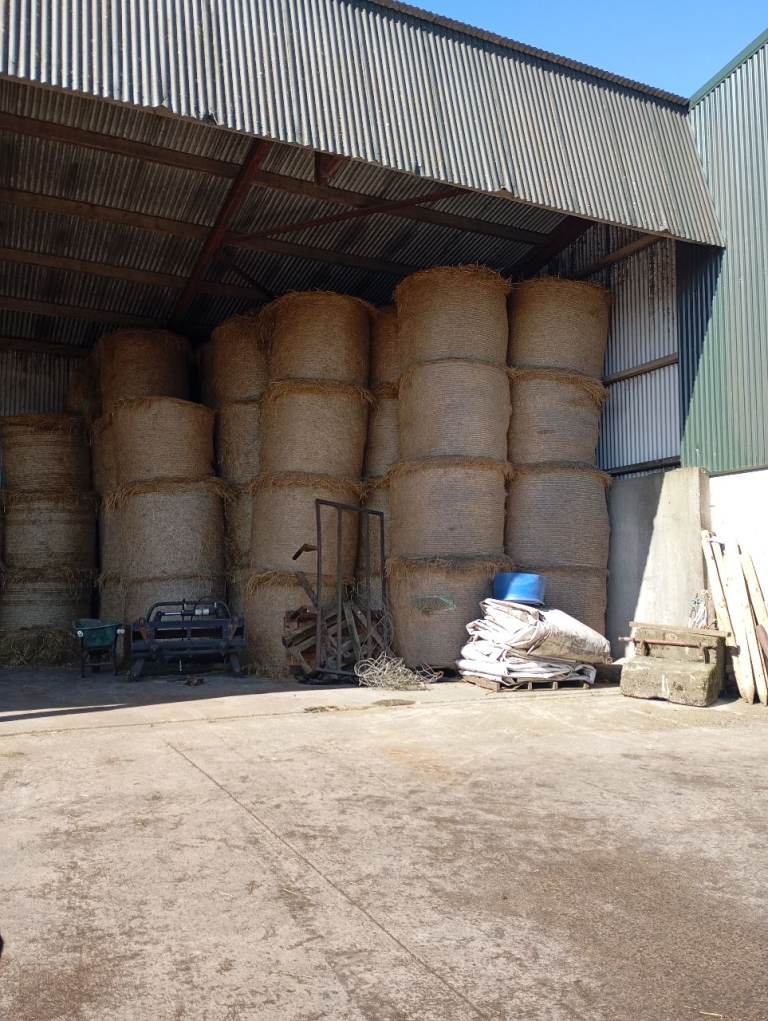 Straw/hay bales 