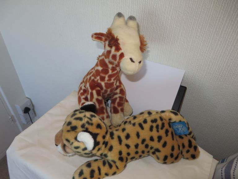 Giraffe and Leopard Plush Toys – Good Condition from Chester Zoo shop