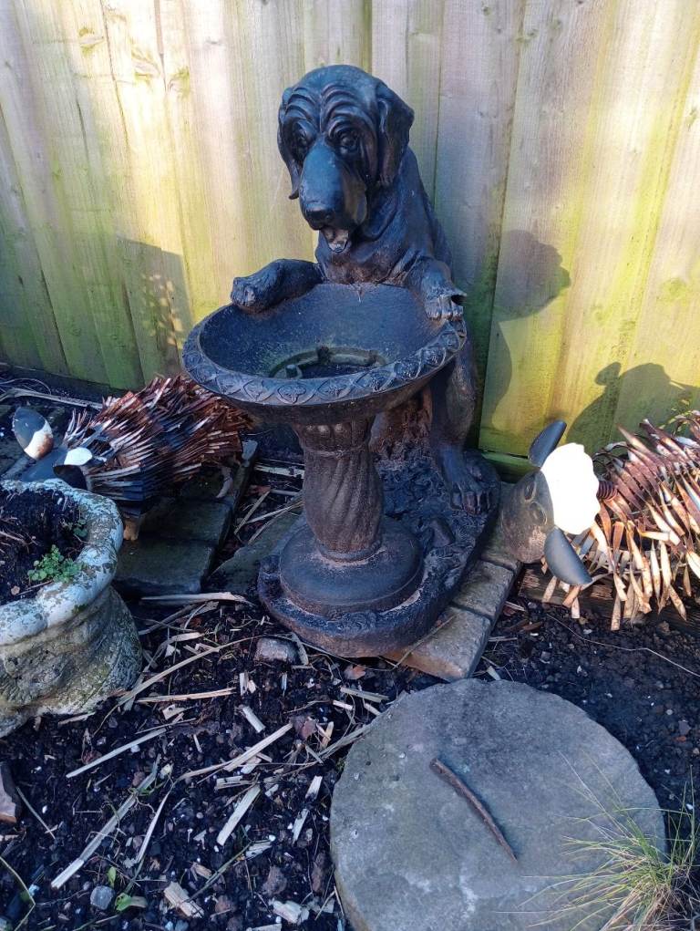 Water features 