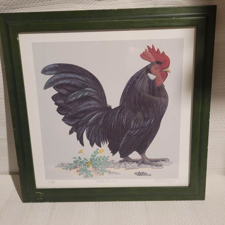 Dutch Black   Limited Edition signed Print No 1/450  Collectable  