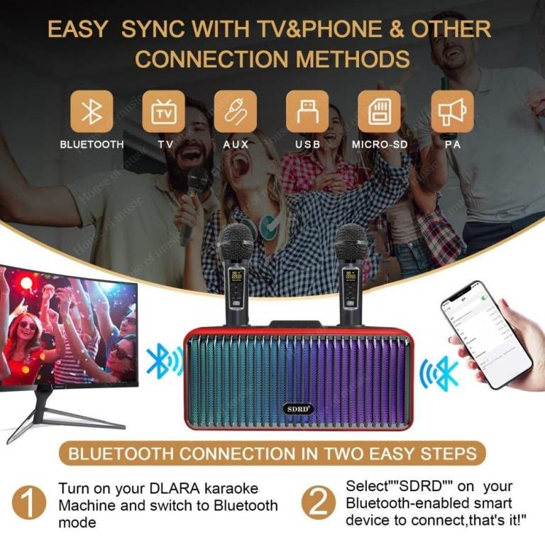 image for Bluetooth Karaoke Machine SDRD SD-319 PRO
