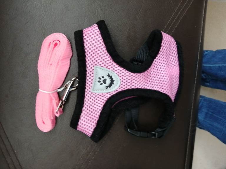 Pet Harness 
