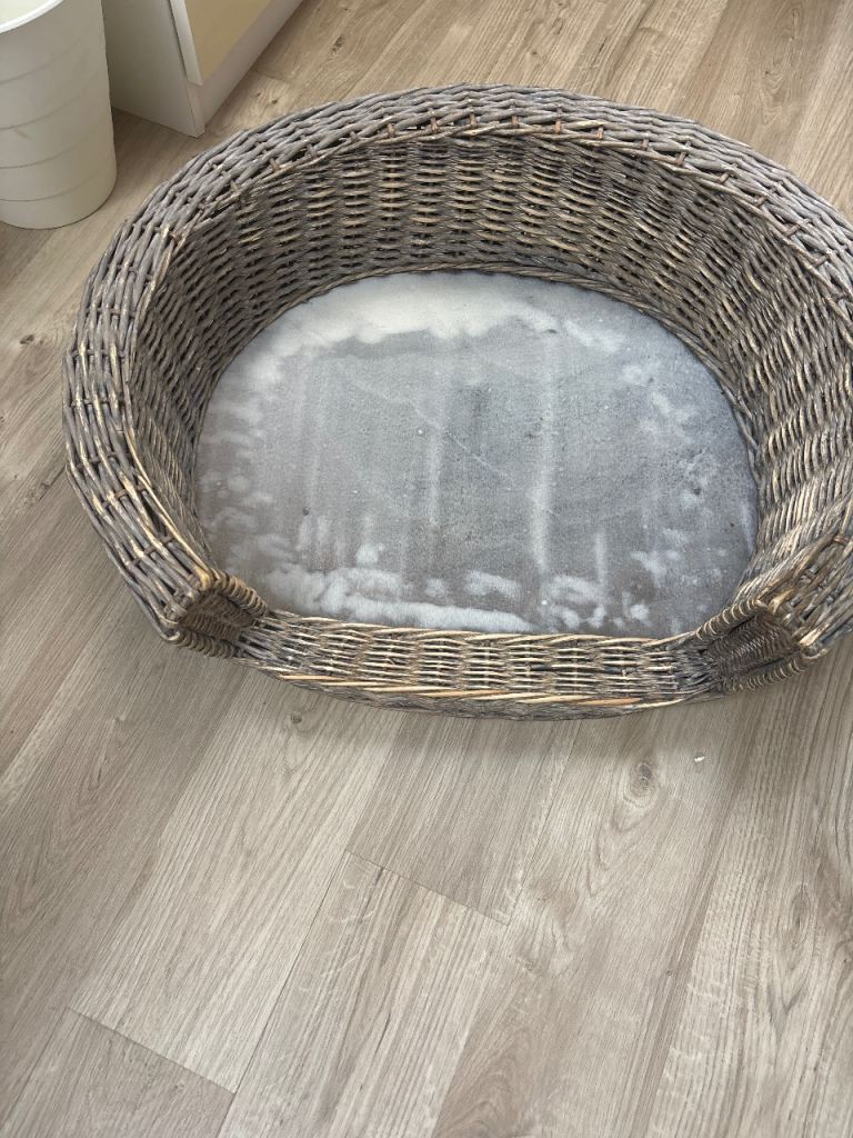 Sturdy wicker dog bed 