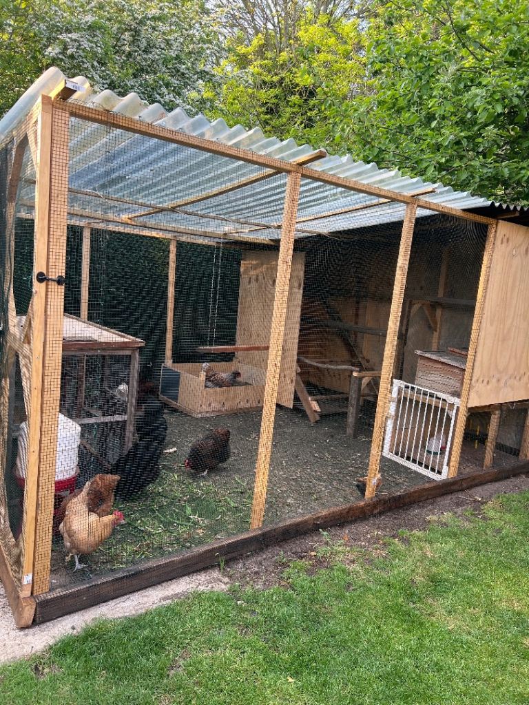 Chicken coop for sale