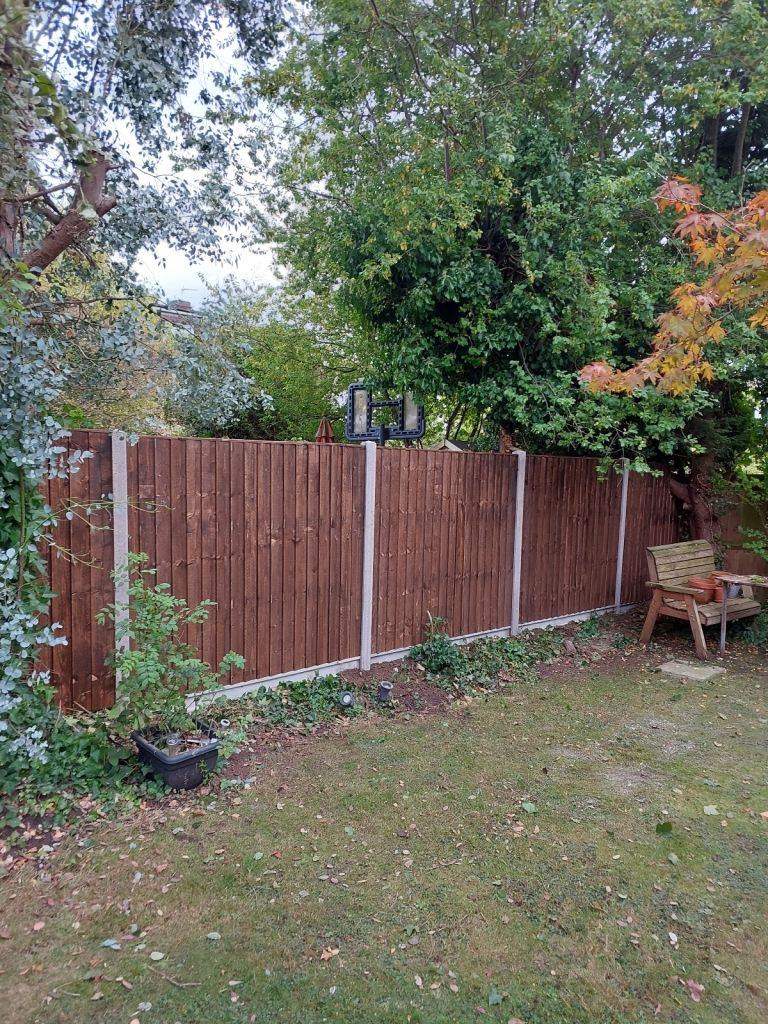 🏗️ Expert Fencing & Gate Installations | Quality You Can Trust! 🌲