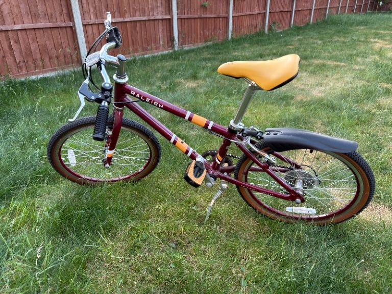 Raleigh pop 20 junior bike
