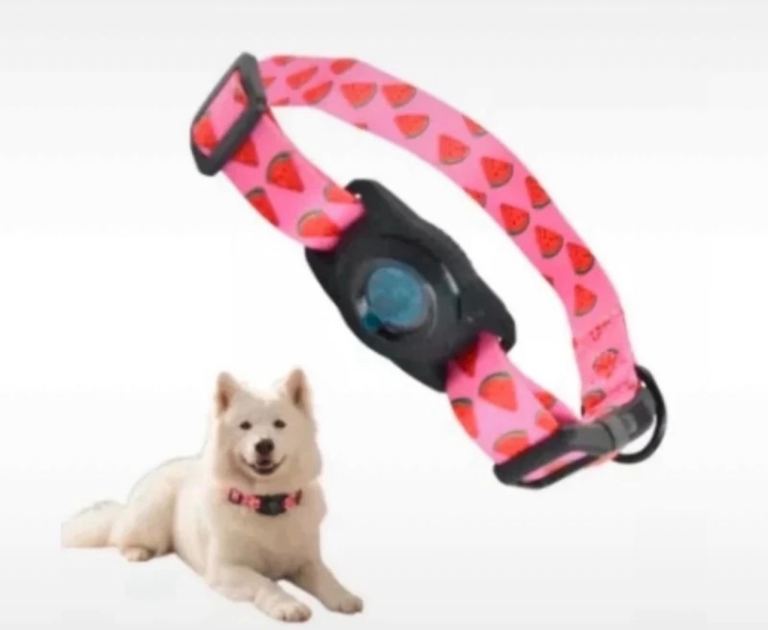 Dog collar 
