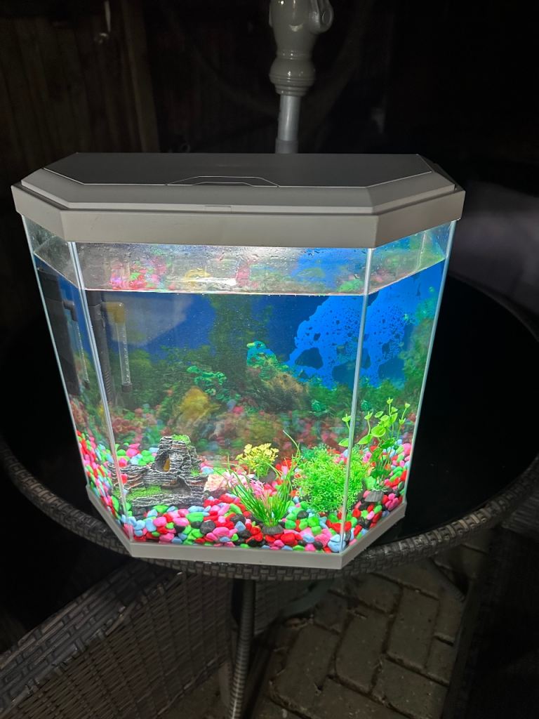 Hexagonal Fish Tank with Accessories – Good Condition
