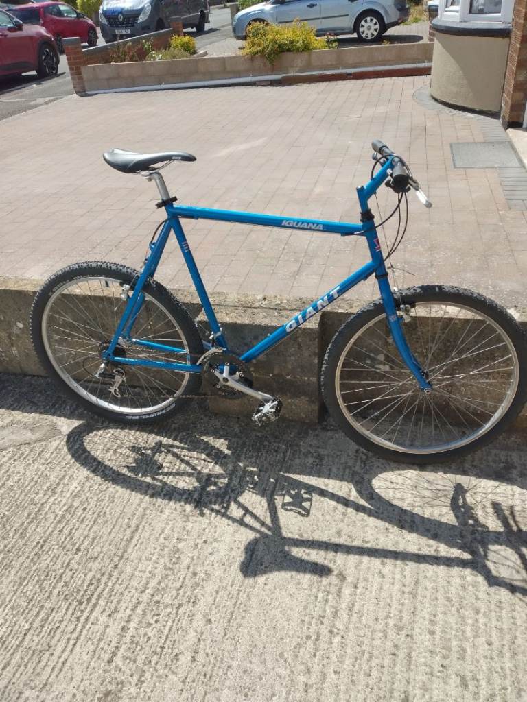 Giant mountain bike 