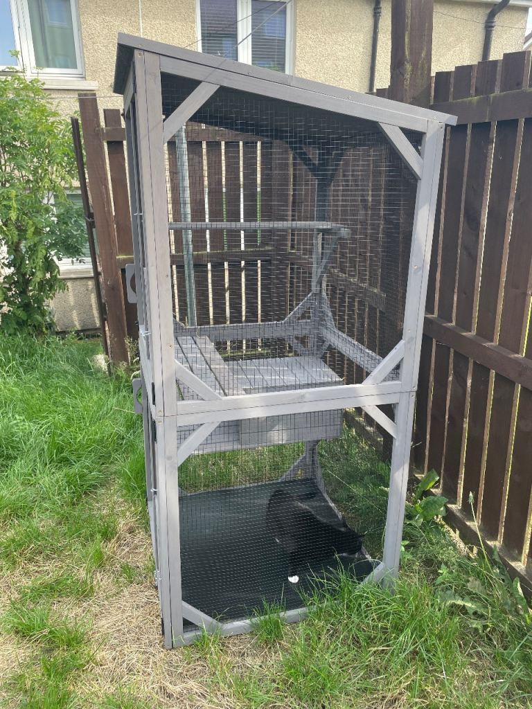Catio