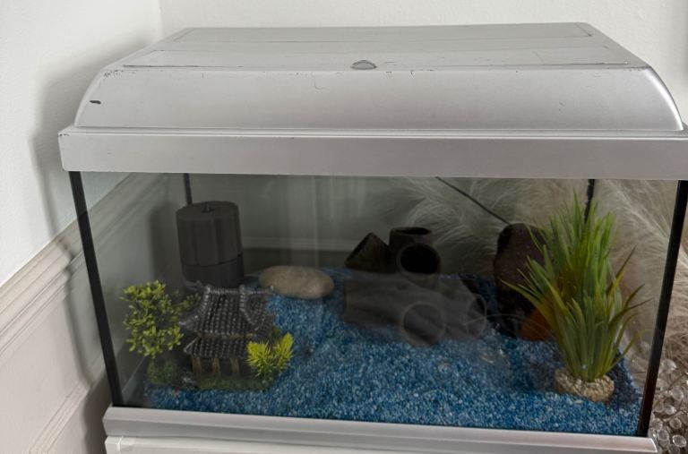 Fish Tank