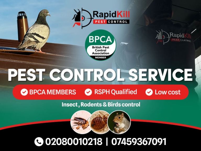 Pest Control Mice Rat Bedbugs Wasps Ants Mouse Removal extermination
