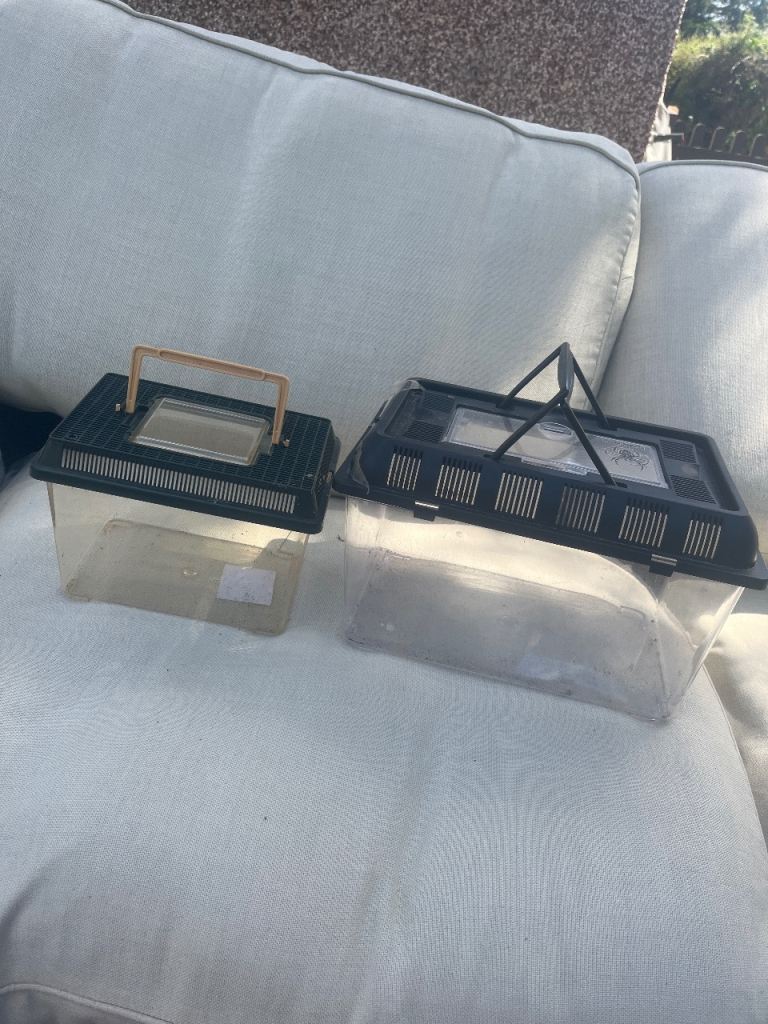 2 reptile enclosures