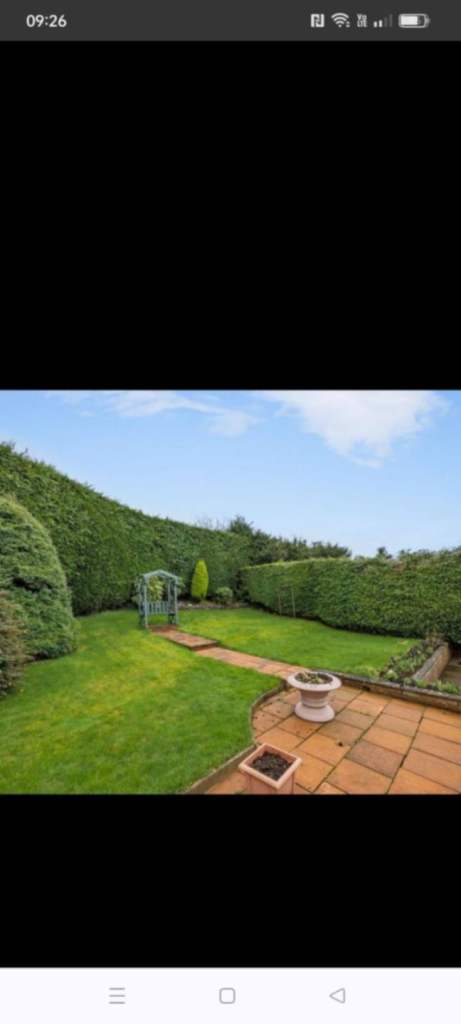 Short term double room available 