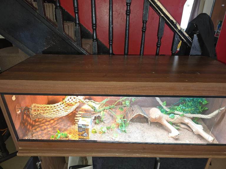 4ft reptile vivarium 