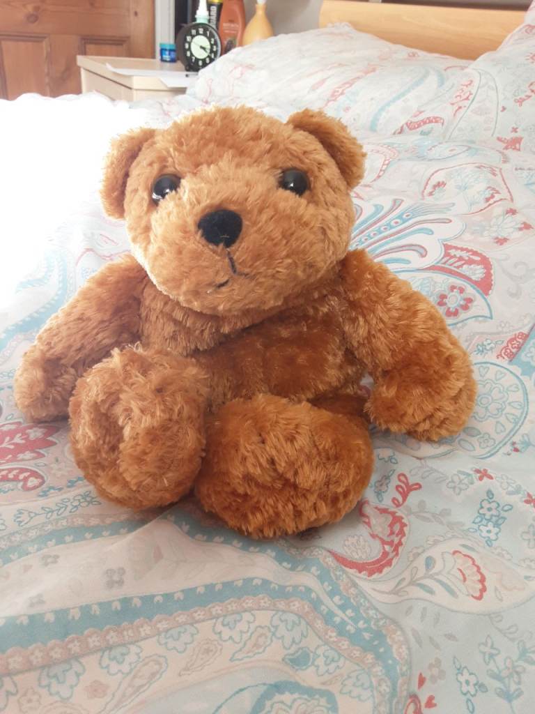 Hug me better bear