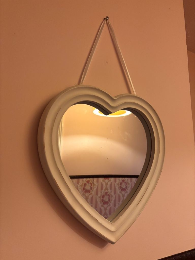 Heart mirror