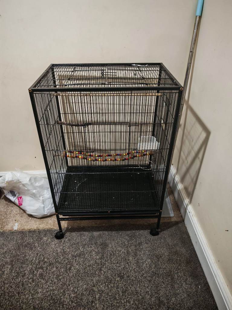 Black bird cage large