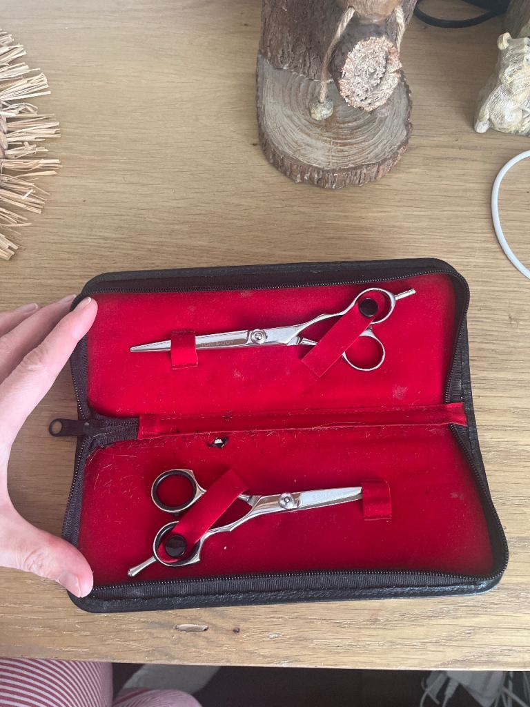 Hairdressing Scissors Set with Case – Good Condition