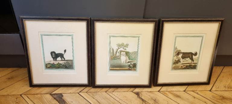 3x 18th Century Dogs Framed Prints 