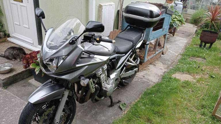 Suzuki, BANDIT, 2008, 656 (cc)