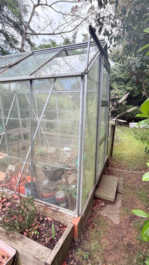 Green house 