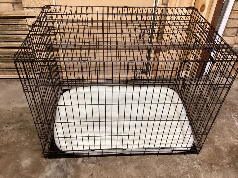 Ellie Boo dog crate