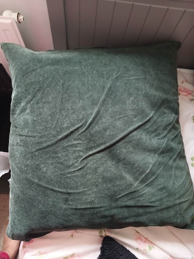 Cushion