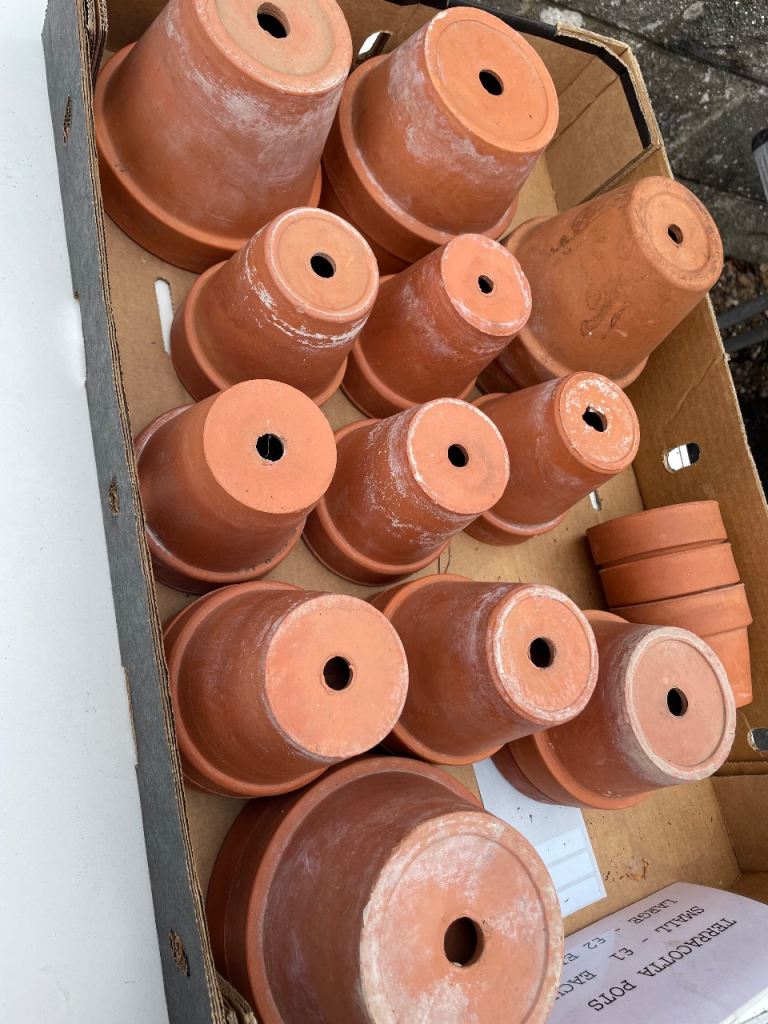 Terracotta pots job lot