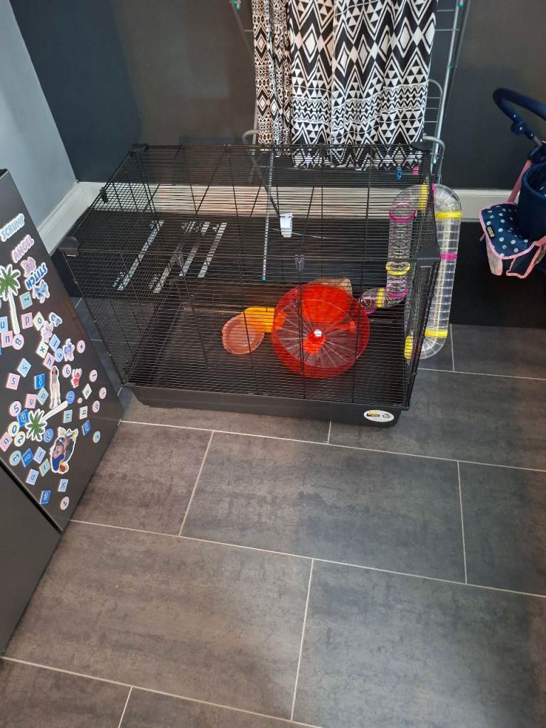 Hamster cage 